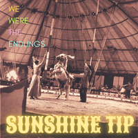 We were the endlings by Sunshine tip