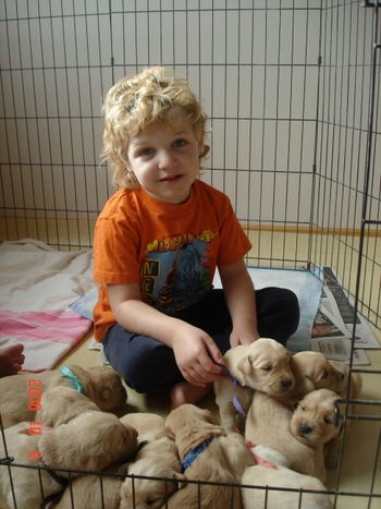 Austin and puppies!
