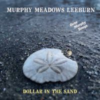 Dollar in the Sand by Murphy-Meadows Leeburn