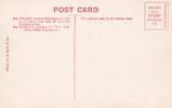 Edwardian cricket postcard - Nelson CC 1905