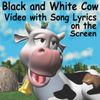 "Black and White Cow" Video with the Song Lyrics on the Screen