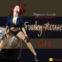 Funky House Vol 2 by Biggroove Music