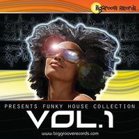 Biggroove Music, Funky House Vol 1 by Biggroove Music