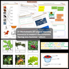 BEST SELLING: Spring into Summer Digital Download Resource Pack (10 Songs, 97 pages)