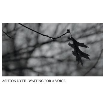Ashton Nyte "Waiting For A Voice" album cover. Released July 2020.
