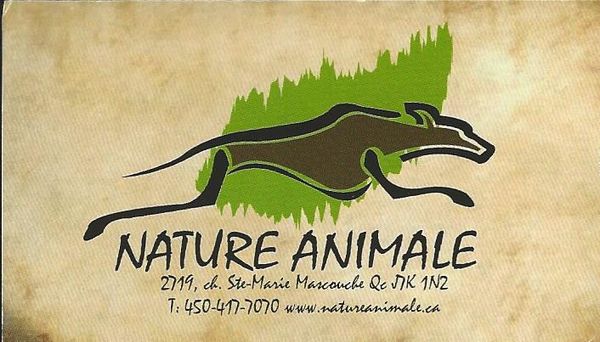 Nature Animale est une boutique qui se spécialise dans la vente de nourriture biologiquement adaptée pour chiens et chats. Leur mission est également de vous conseiller dans le choix des nourritures de façon à trouver un équilibre entre votre budget, vos habitudes de vies et la santé de votre animal.
Nature Animale se spécialise également dans la vente d'équipements de sports attelés. Leur objectif est que les chiens et leurs maîtres puissent voir, essayer, toucher à de l'équipement de qualité et bien adapté à vos besoins. N'oubliez pas d'y aller avec votre chien si vous voulez un harnais bien adapté à son corps!