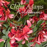 Wildflowers by Cleia Adams
