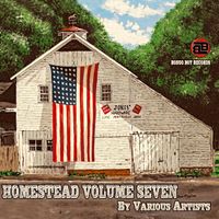Homestead Vol. 7 by Various Artists