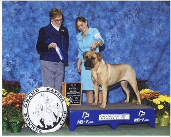 CH.Pandora's Opening Act "Dora" finished by breeder Kristen Wetzel at 14 months old out of the Bred by Exhibitor class at the Kalamazoo Kennel Club 11/2011.
