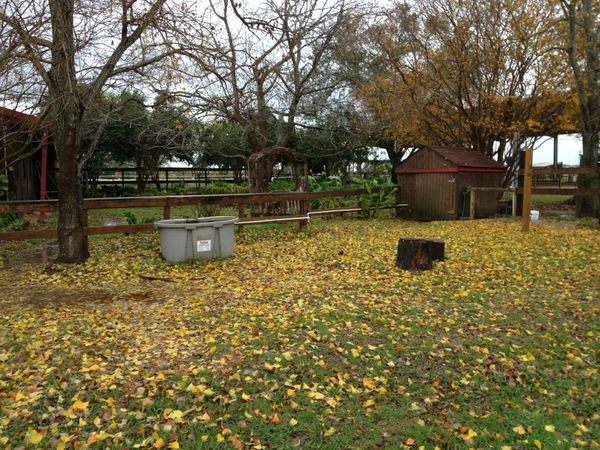 Winter Solstice at the farm.
December 21, 2013
