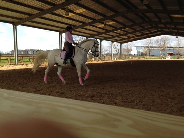 Marie & Ah-mi, collected canter. Feb. 14, 2014.