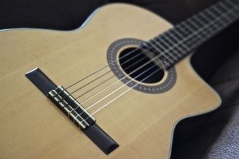 (05/27/14) This is a Washburn C104SCE Classical Acoustic-Electric I have had this guitar for a long time and this was also my first nylon string I ever owned. It has Rosewood back and sides with a solid Spruce top and a Rosewood fretboard. Just a solid nylon string.
