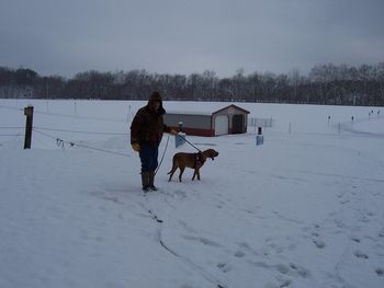 Doc and Dovie beginning their trail in good ole' Indiana. 12/5/10

