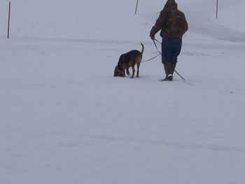 The hound working his trail! 12/5/10
