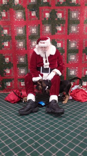 Bing and Santa  12/13
