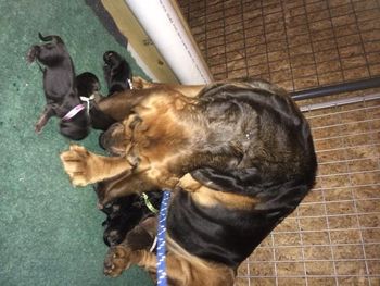 Madison, still under the influence of drugs smelling her babies - not knowing what happened today! 5/22/17