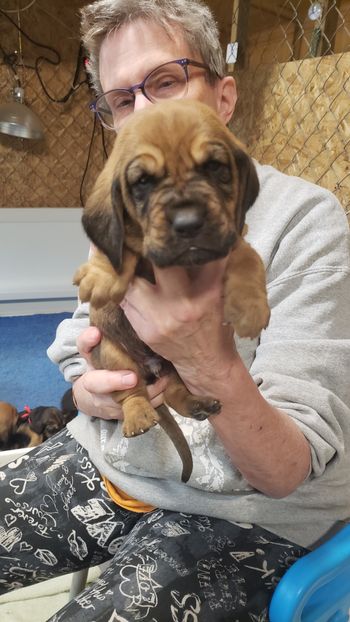 Yellow Ribbon Male 3 weeks 10/3/20 (reserved)

