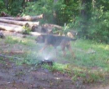 Cooling off on a hot summer's day!
