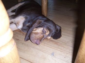Caught me napping again! August 2011
