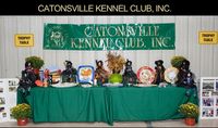Catonsville Kennel Club Dog Show