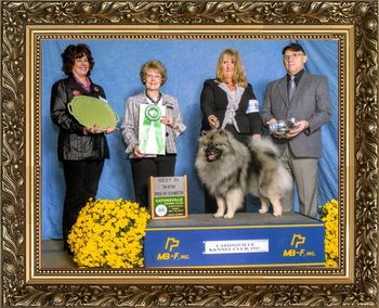TRUMPET'S GOOD TIMES ROLL Owner:Barry Wudel & Lori Wudel & Beth Blankenship Breeder:Beth Blankenship Judge:
