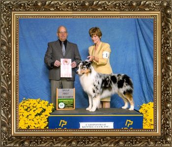 BRASS RING YOU'RE THE ONE Owner:Leanne Buzzell & Stacey Buzzell Breeder:Leanne Buzzell Judge:
