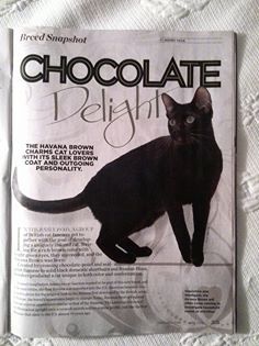 June 2014 Cat Fancy Magazine
