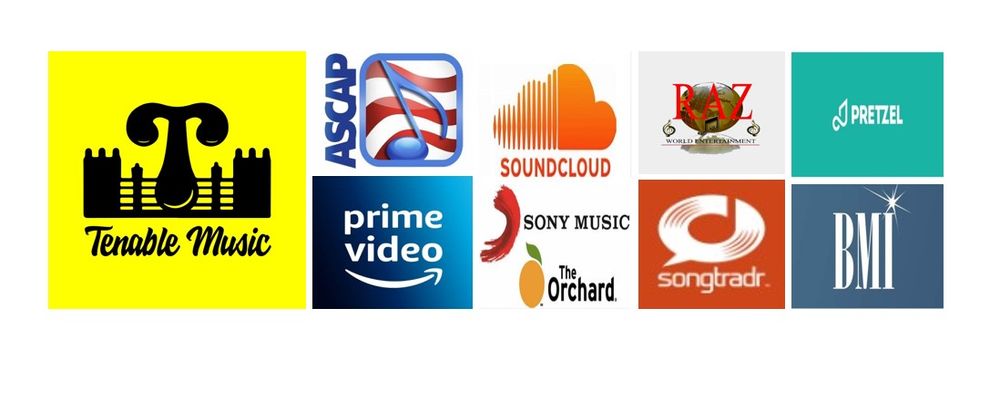Tenable Music LLC (ASCAP) / Tenable Music Global (BMI)