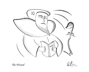 The Wizard
