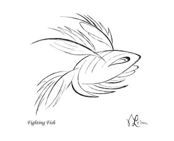 Fighting Fish

