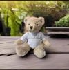 GlastonBARRY Teddy Bear