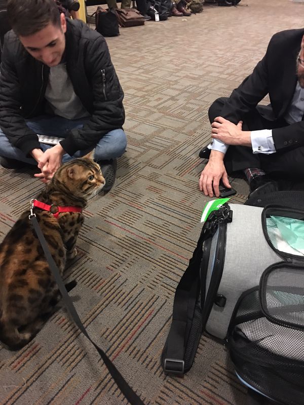 Chase and his airport fans
