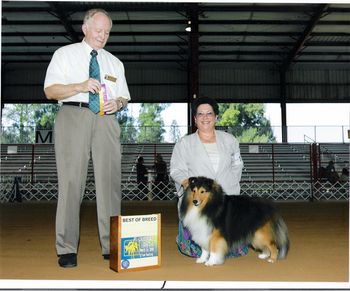 Sunday March 16, 2008 Judge Connolly awarded Teddybear Best of Breed at the Fort Lauderdale Dog Show