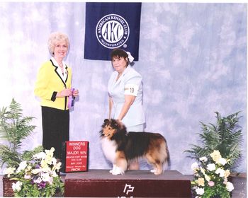 Judy Stachowski helped Teddy win his third three point major in Judge June A Pentas ring at the Greater Fort Myers DC on May 22, 2005.
