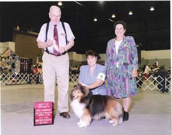 To our delight, Teddy took a BOPs over specials to earn his last two points to earn his Championship in Judge Robert J. Moores ring at the Palm Beach County Dog Fanciers Association dog show on July 17, 2005