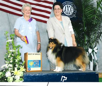 On Saturday, March 15 , 2008, Judge Lydia Coleman Hutchinson awarded Teddybear Best of Breed at the Fort Lauderdale Dog Show.