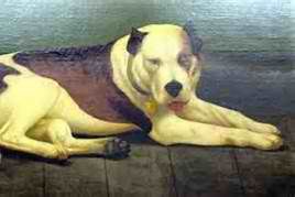 Sallie