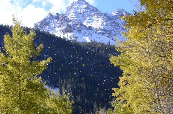 The Rocky Mountains