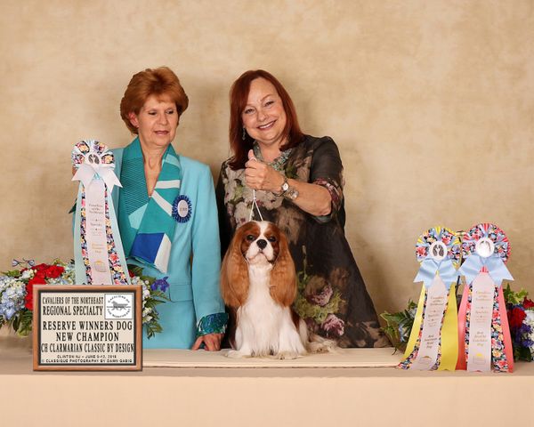 DC earns his CKCSC USA Champion title. Thank you, Judge Wendy Lhote!