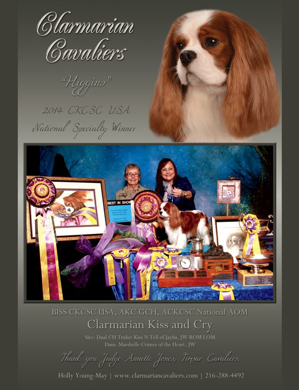Royal Spaniels
2014 CKCSC USA National Specialty Winner
