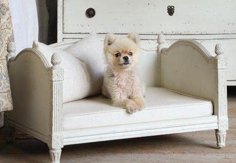 French Inspired bed for your Royal Companion.
Painted, distressed stone color, with zippered linen cushion.
26 x 20 x 15.
$500.00 plus shipping