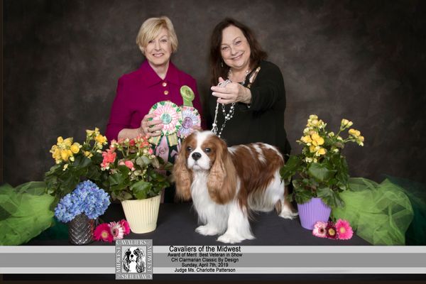 Award of Merit and Best Veteran in Show.
Thank you, Judge Charlotte Patterson