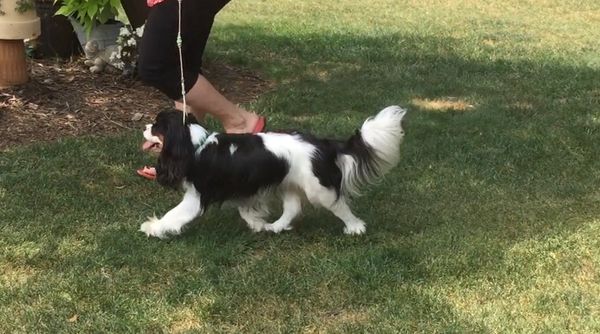 Trinity on the move 16 months
