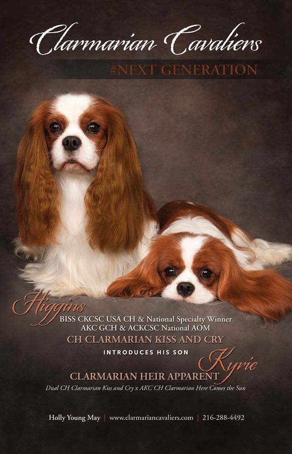 Kyrie with his sire Higgins