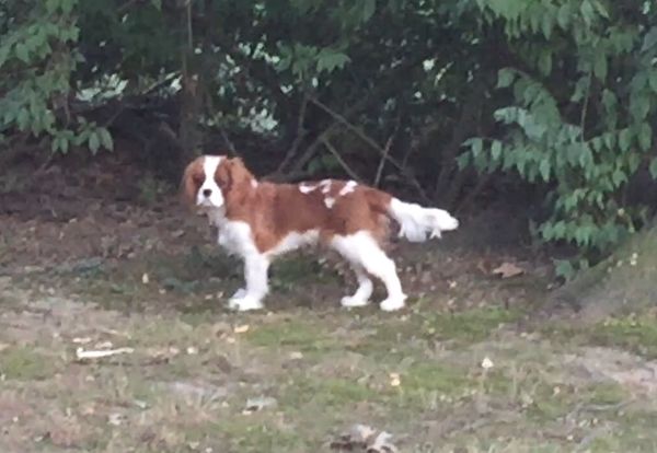 Kyrie, casual, at 5 months