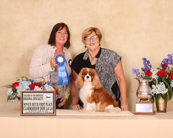 Linda McFarland starts Viola's CKCSC USA career with a lovely win. Thank you judge, Mandy Mulligan.