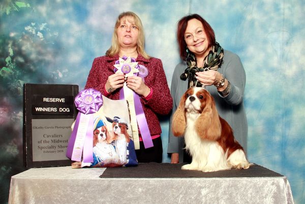 DC wins Reserve WInners Dog at the Cavaliers of the Midwest Show in Lexington, KY.
Thank you Judge Tracey Parsons