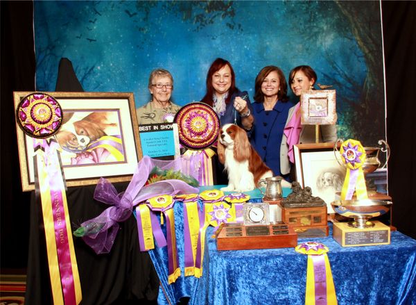 BISS 2014 CKCSC USA National Specialty AKC GCH Clarmarian Kiss and Cry
Pictured with Pat and Michelle Lander, owners of Higgins' sire, Teddy.
