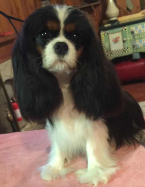 Siena on her third birthday.