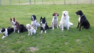 Group Classes